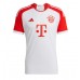 Bayern Munich Alphonso Davies #19 Hjemmebanetrøje 2023-24 Kortærmet